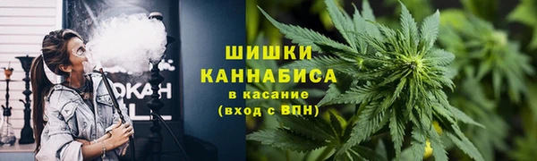 метадон Вяземский