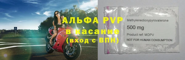ПСИЛОЦИБИНОВЫЕ ГРИБЫ Вязники