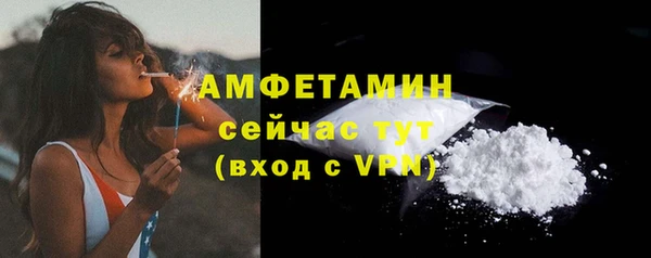 метадон Вяземский