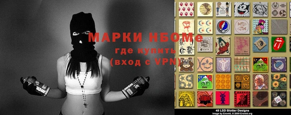 ПСИЛОЦИБИНОВЫЕ ГРИБЫ Вязники