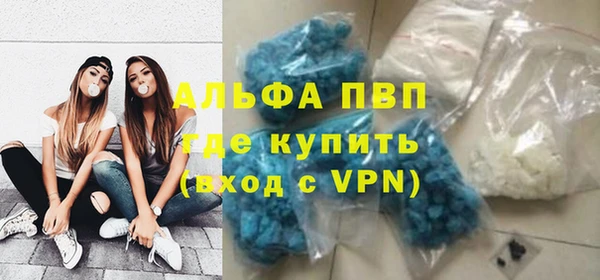 ПСИЛОЦИБИНОВЫЕ ГРИБЫ Вязники