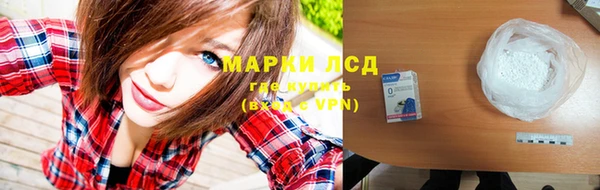 ПСИЛОЦИБИНОВЫЕ ГРИБЫ Вязники