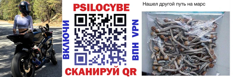 Псилоцибиновые грибы GOLDEN TEACHER Йошкар-Ола